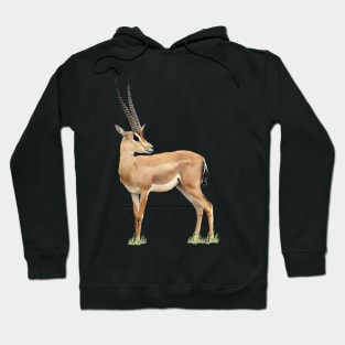 Grant-Gazelle - Antelope - Africa Hoodie